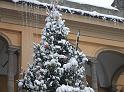 lodineve (142)